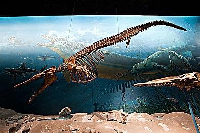 《无限暖暖》开发商叠纸游戏2024年营收近10亿美元